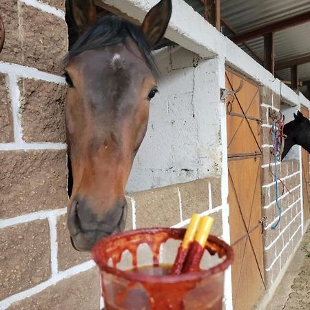 Vive En Un Rancho Otel Puebla Dış mekan fotoğraf