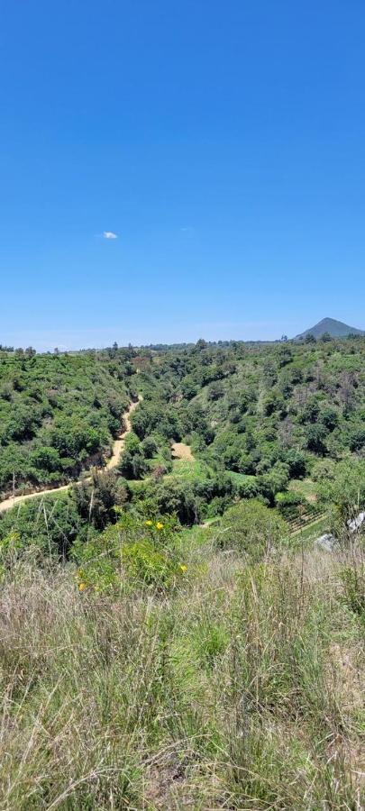 Vive En Un Rancho Otel Puebla Dış mekan fotoğraf